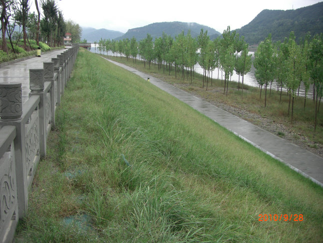 阆中城区生态防洪堤